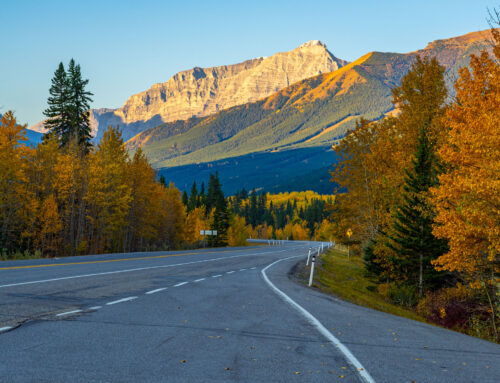 The Top 3 Most Scenic Highways in North America