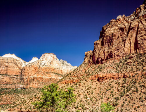 Top 10 Iconic Campsites in the U.S.